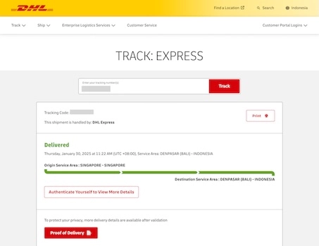DHLの追跡画面で、Wiseデビットカードの配送ステータスが「Delivered（配達完了）」になっている様子を示すスクリーンショット。