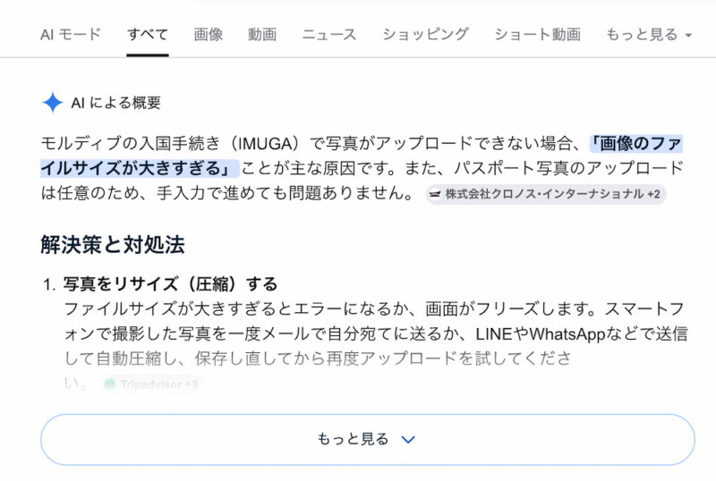 Google検索のAI Overviews（AIによる概要）で「モルディブIMUGAで写真がアップロードできない原因はファイルサイズが大きすぎるため」と表示されている解決策の画面