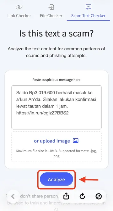 Scam Text Checkerに詐欺SMSを貼付する画面（英語UI）
