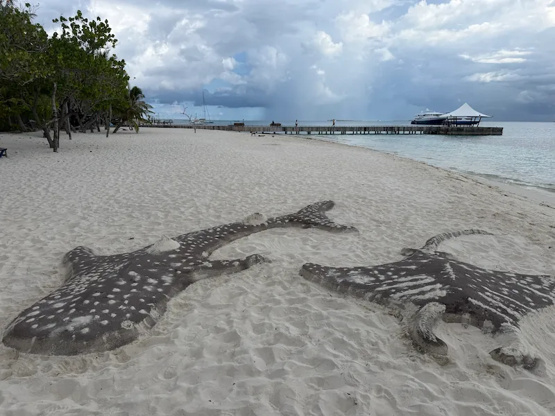 Dhangethiのビーチにある砂のジンベエザメのアート